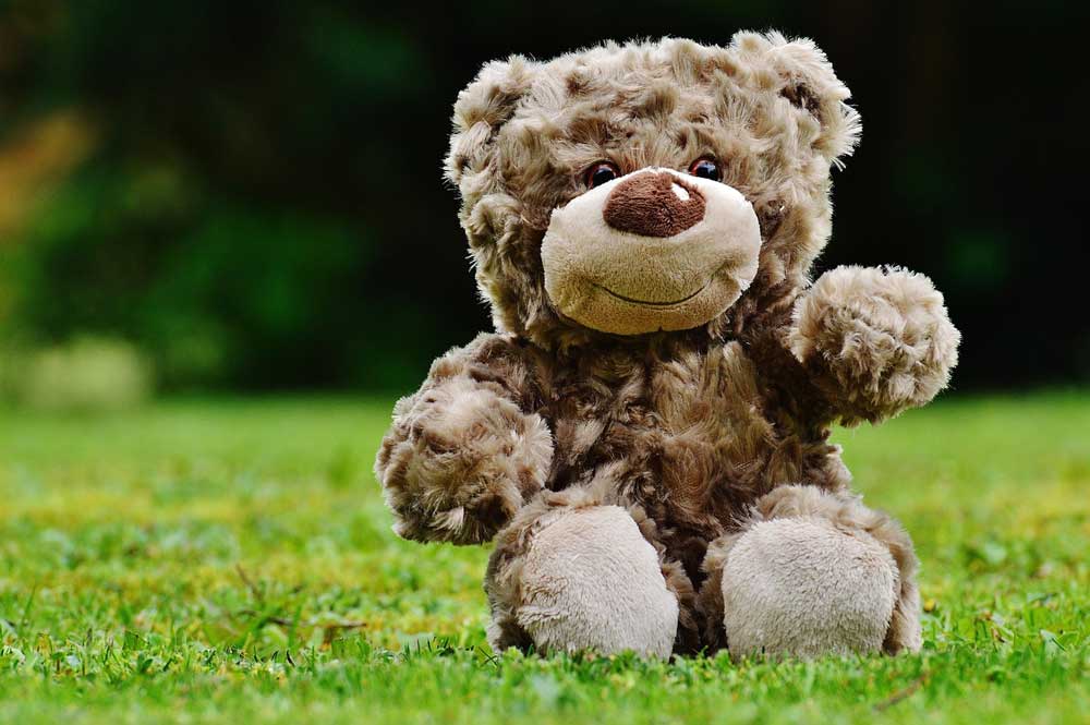 Freundlicher Kuschelteddy sitzt auf der Wiese und winkt